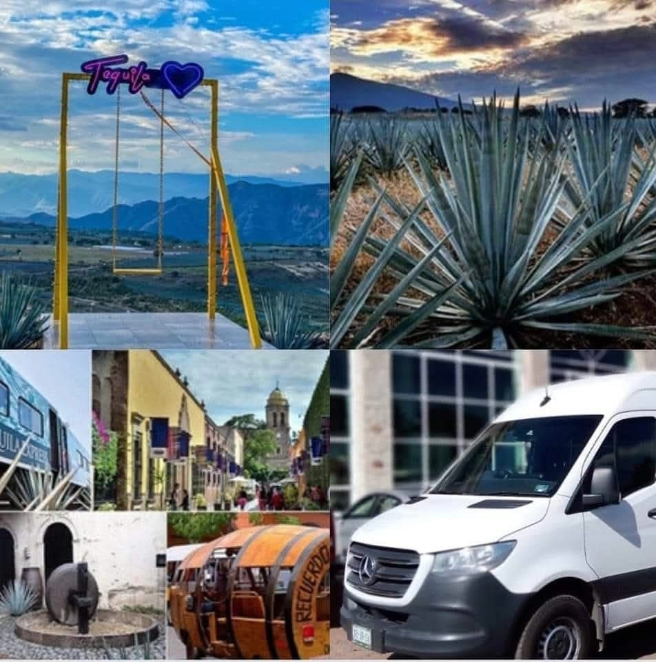 Tour tequila jalisco